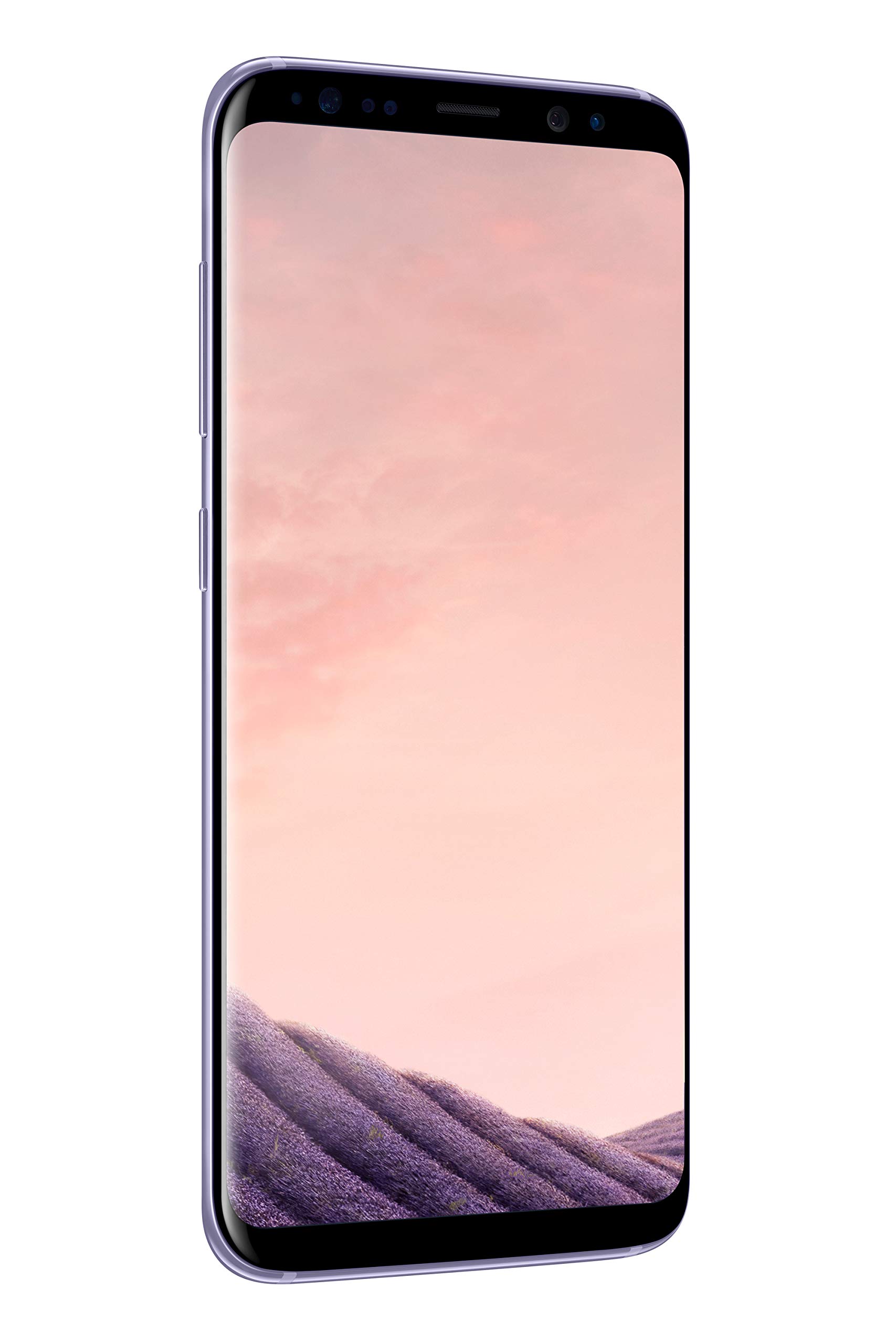 Samsung Galaxy S8 G950FD 64GB Orchid Gray, Dual Sim, 5.8 inches